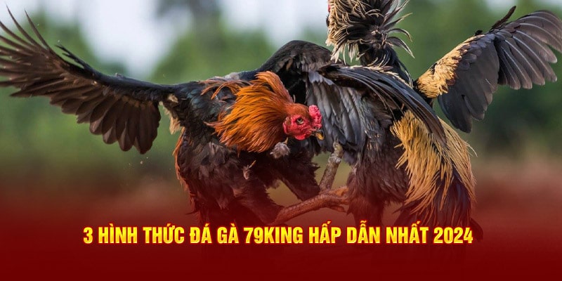 3 hình thức đá gà 79king