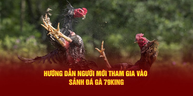 Hướng dẫn tham gia đá gà 79King