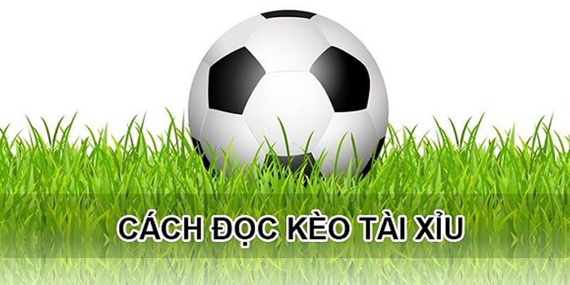 Cách xem kèo tài xỉu