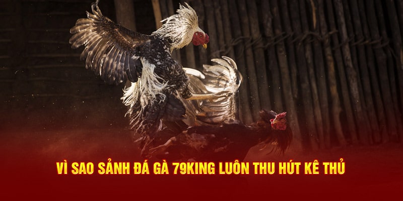 Sân chơi 79King luôn thu hút kê thủ